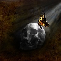 Picture for song 'beginning and end 2015' by artist 'S dot Reap Productions'