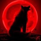 Picture for song 'Blood Moon Rising *NEW*' by artist 'SETRA BEATS'