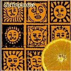 Picture for song 'Don't Hold On (single version)' by artist 'shrimpanzee'