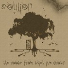 Picture for song 'Lost Beneath The Madness (ft. Legaci)' by artist 'Soulion'