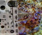 Picture for song 'Caphortashell' by artist 'SOUNDS LIKE MUSTARD'