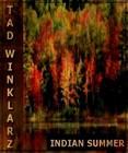 Picture for song 'Indian Summer' by artist 'Tad Winklarz'
