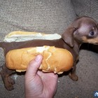 Picture for song 'Center Point - Ish Beats Music' by artist 'the-beat-kings'