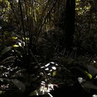 Picture for song 'Enemy Soil' by artist 'The DJ Catastrophy'