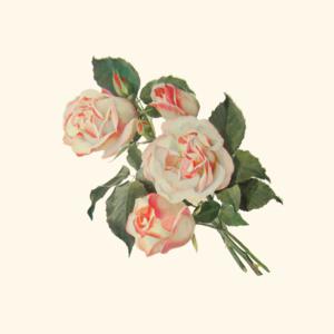 Picture for song '*perfect!* playboi carti x pierre bourne type beat' by artist 'therealwesleybeats'