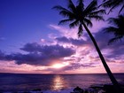 Picture for song 'TheUnstoppableMusic - Sweet Dreams| Free DL *hot' by artist 'TheUnstoppableMusic'