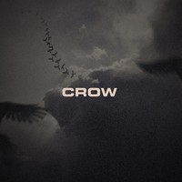 Picture for song '*OVO* Crow ' by artist 'Wayne On The Track'