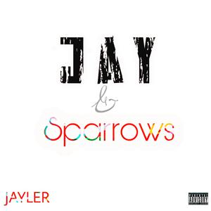 Picture for song 'Papers' by artist 'Jayler Life'