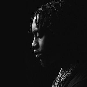 Picture for song 'How I Feel (Polo G x Lil Tjay Type Beat)' by artist 'YOUNG GOTTI BEATS'