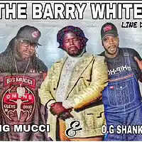 Picture for song 'Barry White LineDance' by artist 'Big Mucci'