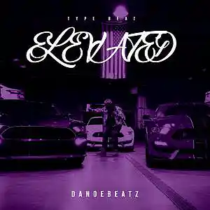 Picture for song 'ELEVATED' by artist 'DanoeBeatz'