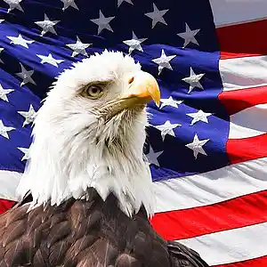 Picture for song 'We are America' by artist 'DC SpaceDog'