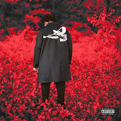 Picture for song 'Lullaby' by artist 'Killazbeatz'