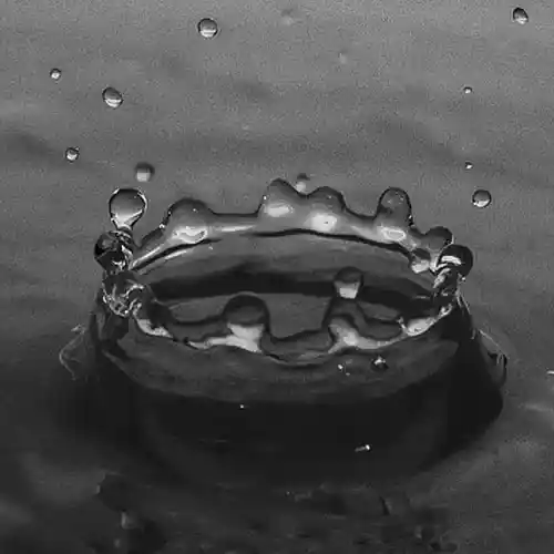 cover pic
