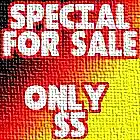 Picture for song 'DAMAGE $5 SPECIAL PRICE' by artist 'RellRomance'