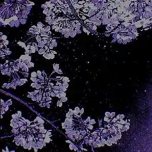 Picture for song 'Whisper' by artist 'Vespra'