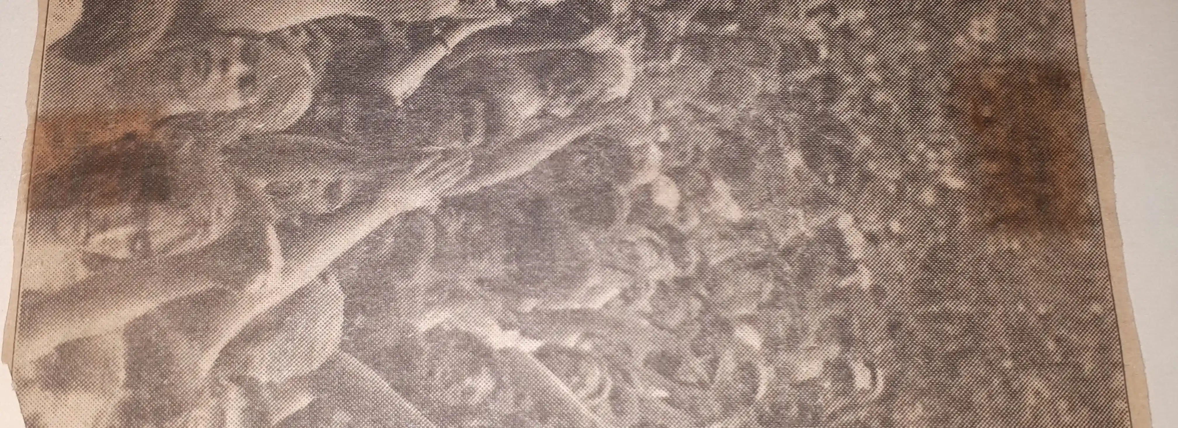 cover pic