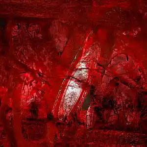 Picture for song 'Triumph' by artist '2Divine'