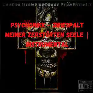 Picture for song 'PsychoNiKK - Zwiespalt Meiner Zerstörten Seele In' by artist 'CrAcKk HoUsE ReCoRdZ'