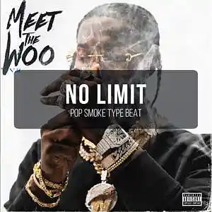 Picture for song 'NO LIMIT (Pop Smoke type beat)' by artist 'DAISYCHAIN'