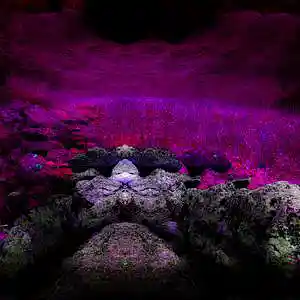 Picture for song 'Sad Boy Type Beat Wish you Were Here' by artist 'GXRE'