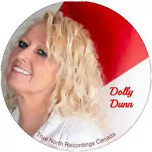 Picture for song 'WHAT KIND OF CHRISTMAS-' by artist 'J D COLE SONGS'