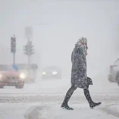 Picture for song 'Снег' by artist 'LARA (Larisa Velieva)'