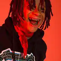 Picture for song 'Toodles Sold Out' by artist 'Milesg2g'