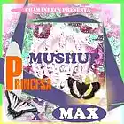 Picture for song 'PRINCESA-sentire mx1' by artist 'PRINCESA x Max'