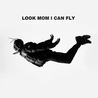 Picture for song 'LOOK MOM I CAN FLY Travis Scott TYPE BEAT' by artist 'prodbyanonim'