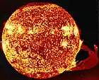 Picture for song 'Echoes in the Sun' by artist 'Stabby Juice'