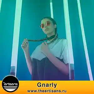 Picture for song 'Gnarly (Asap Rocky x Pusha T Type)' by artist 'The ARTISANS'