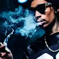 Picture for song 'Light It Up *WIZ KHALIFA TYPE* FREE/DL' by artist 'TrackBros'