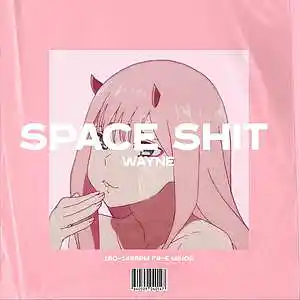 Picture for song 'SPACE SHIT' by artist 'wayne.prods'