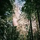 Picture for song 'Escape' by artist 'Wonderlust Beats'