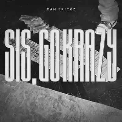 Picture for song 'SIS, GO KRAZY [bay area, detroit,club flint banger' by artist 'Xan Brickz'