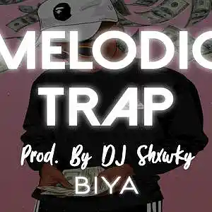 Picture for song 'Biya - Melodic Trap Prod. By DJ Shxwky' by artist 'DJ Shxwky'