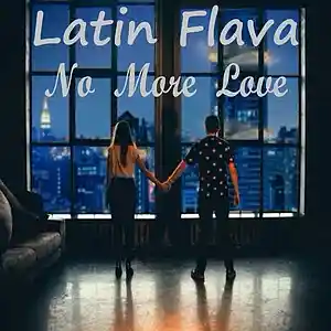 Picture for song 'No More Love (No Mas Amor)' by artist 'Latin Flava'