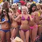 Picture for song '(TAGLESS*) DUMP IT BACK' by artist 'DJ MANNY MOOLAH'