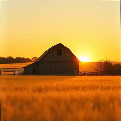 Picture for song 'Country Life' by artist 'Muzik On DA Beat'
