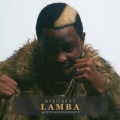 Picture for song 'LAMBA - Afrobeat' by artist 'OfficialDanoeBeatz'