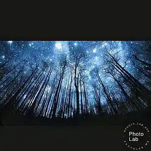 Picture for song 'billion' by artist 'Oson'