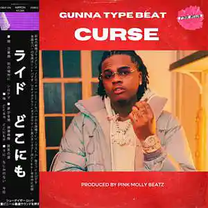 Picture for song 'CURSE - BUY 1 GET 1 FREE - GUNNA TYPE BEATS - A GI' by artist 'PINK MOLLY BEATZ'