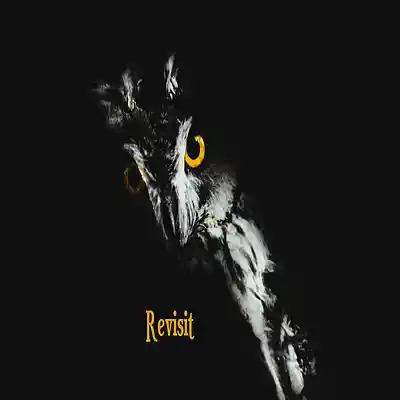 Picture for song 'Revisit' by artist 'Sean Ferree'