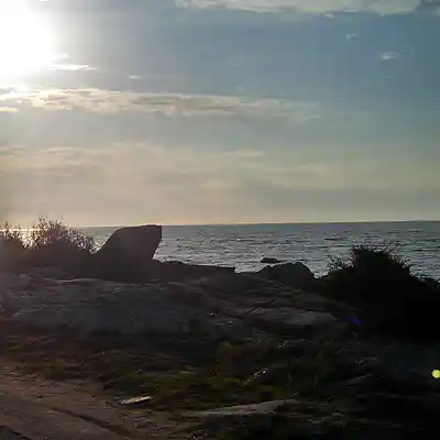 Picture for song 'rhytmicing around' by artist 'tlasoi'