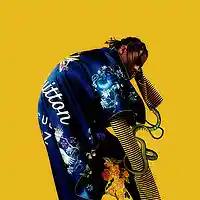 Picture for song 'Summer Bummer' by artist 'BLACK LIONS'