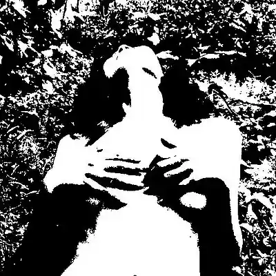 Picture for song 'Chaos Theory' by artist 'D.Jebar'