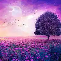 Picture for song 'DreamScape' by artist 'Dj Katfish'
