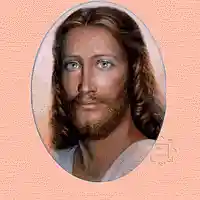 Picture for song 'The Empty Tree' by artist 'Doug Spencer'