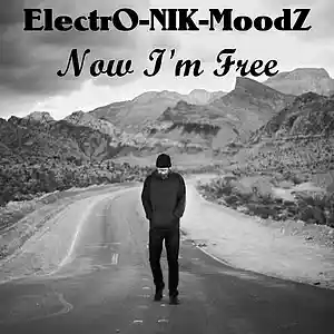 Picture for song 'Now I'm Free' by artist 'ElectrO-NIK-MoodZ'
